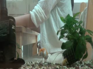 ES-762 巨乳の姉とセックスしたい…弟の歪んだ願望を告白された姉は葛藤の末に近親相姦を受け入れる！！家族に内緒の家庭内盗撮でその愛情をAV制作会社が完全バックアップ！！