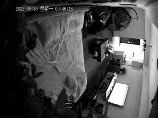 2022-5-29新流出 酒店安防摄像头偷拍文艺小青年约良家少妇对白清晰[不要祸害我]