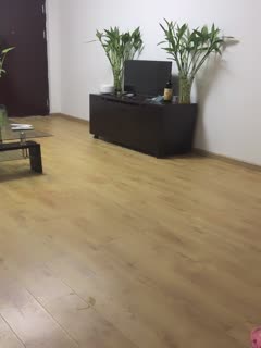 国产系列风骚至极的美琳娜3 被小帅哥疯狂后入 不停的叫着好爽好爽