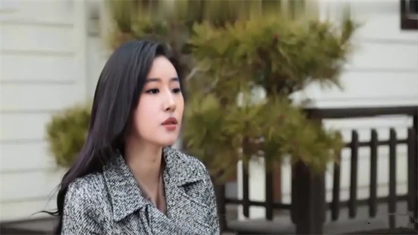 AI-刘诗诗刘亦菲-