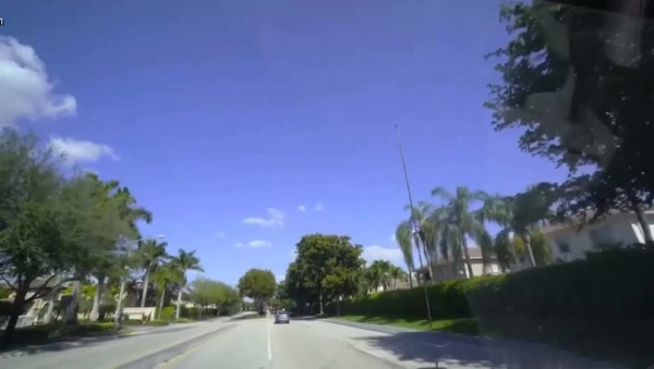 AI-佟丽娅-在行驶