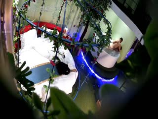 新台解密360酒店按